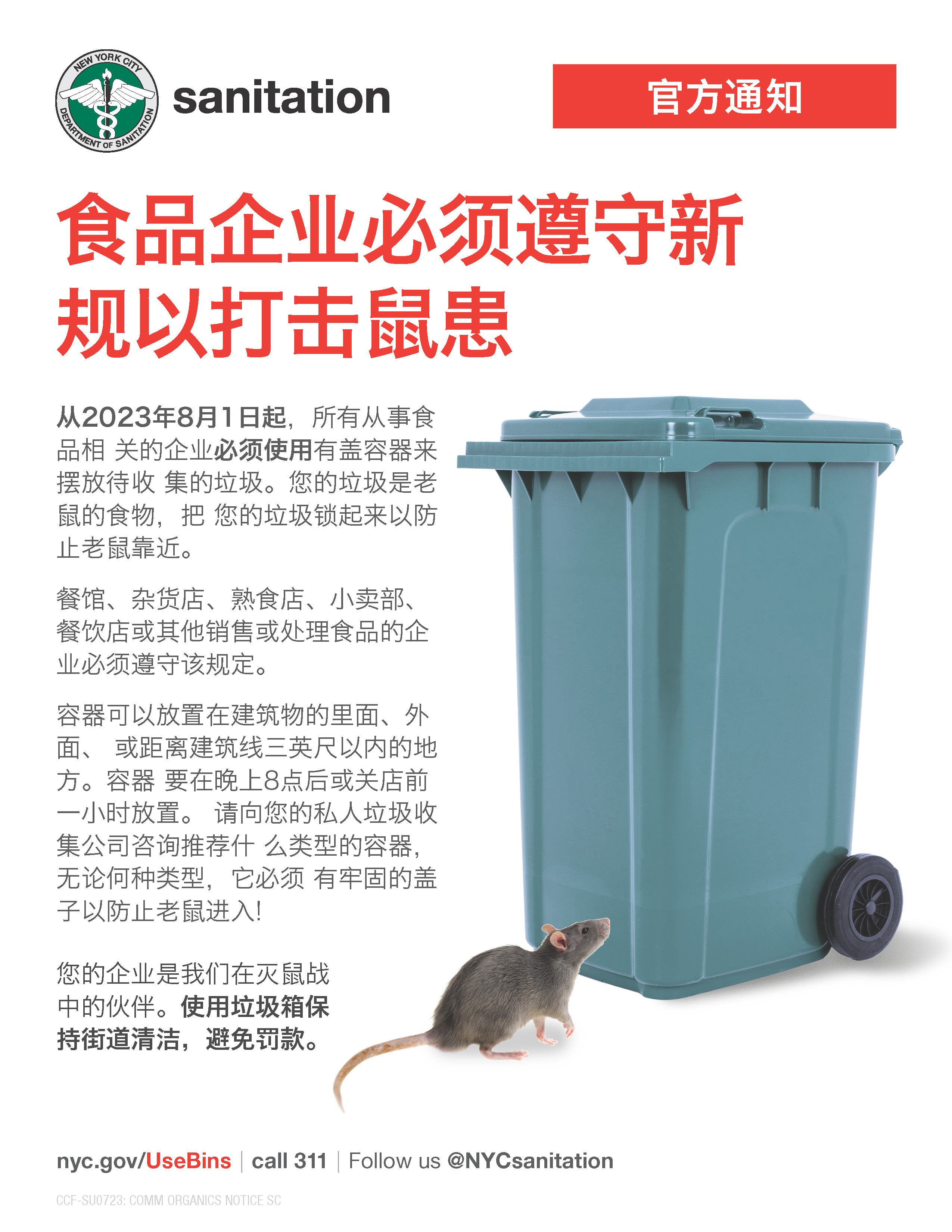 Chinese FLyer
