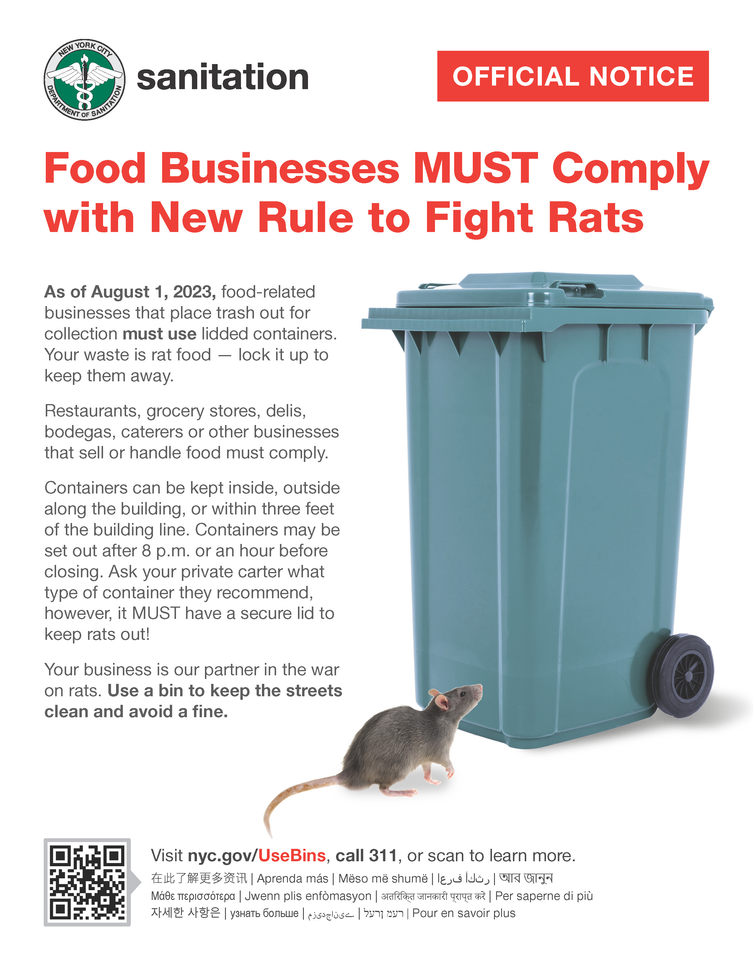 English Flyer